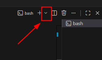 ../_images/vsc_new_shell.png